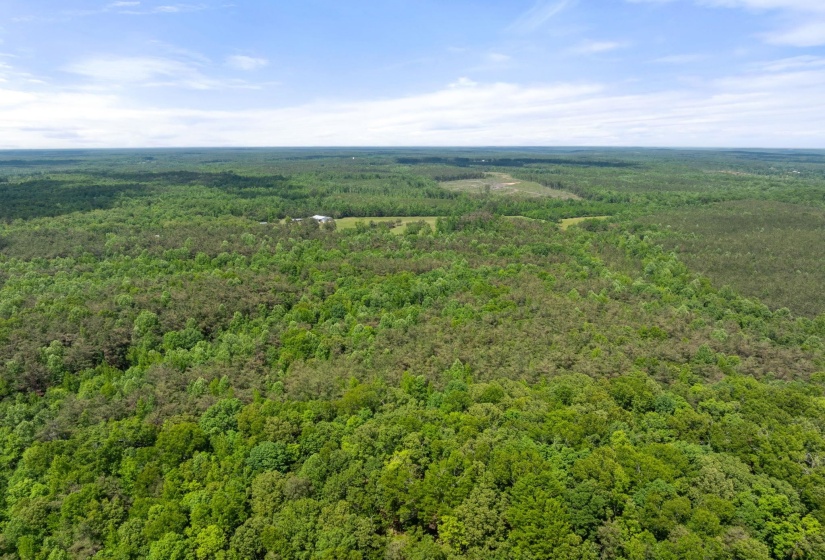 TBD COUNTY ROAD 377 RD, Burnsville, Mississippi 38833, ,Land,For Sale,COUNTY ROAD 377,10221313