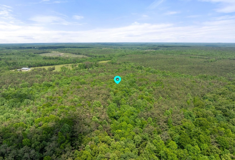 TBD COUNTY ROAD 377 RD, Burnsville, Mississippi 38833, ,Land,For Sale,COUNTY ROAD 377,10221313