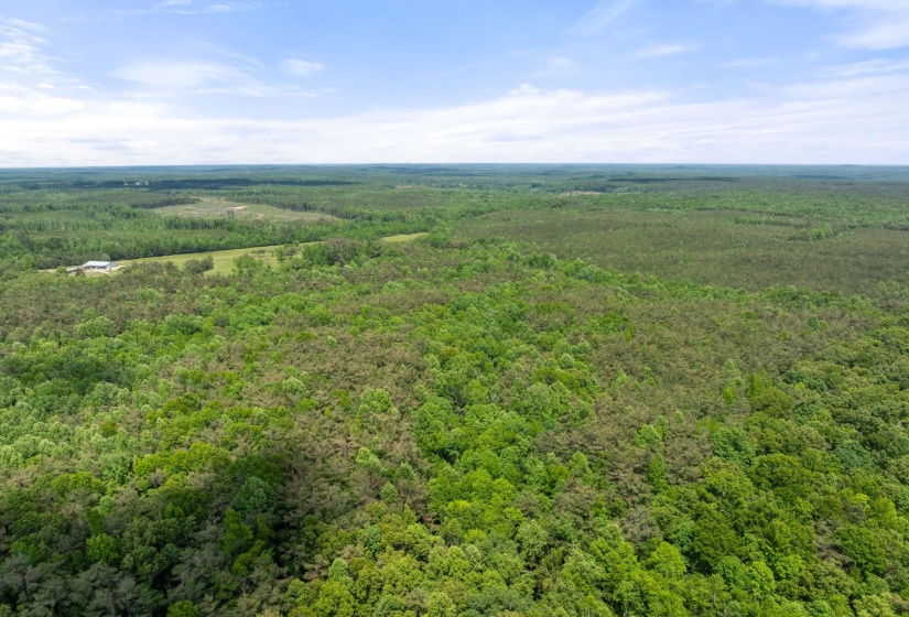 TBD COUNTY ROAD 377 RD, Burnsville, Mississippi 38833, ,Land,For Sale,COUNTY ROAD 377,10221313