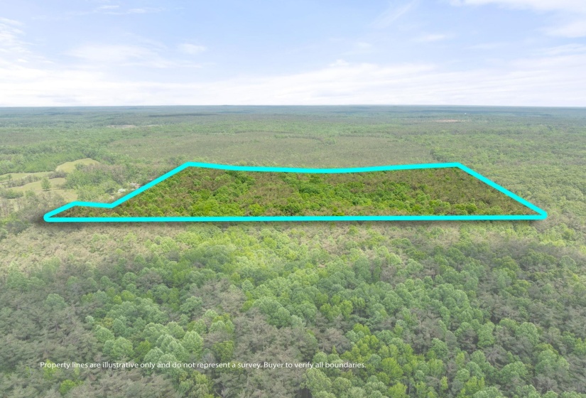 TBD COUNTY ROAD 377 RD, Burnsville, Mississippi 38833, ,Land,For Sale,COUNTY ROAD 377,10221313