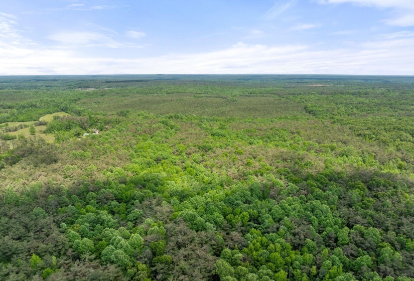 TBD COUNTY ROAD 377 RD, Burnsville, Mississippi 38833, ,Land,For Sale,COUNTY ROAD 377,10221313