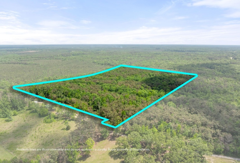 TBD COUNTY ROAD 377 RD, Burnsville, Mississippi 38833, ,Land,For Sale,COUNTY ROAD 377,10221313