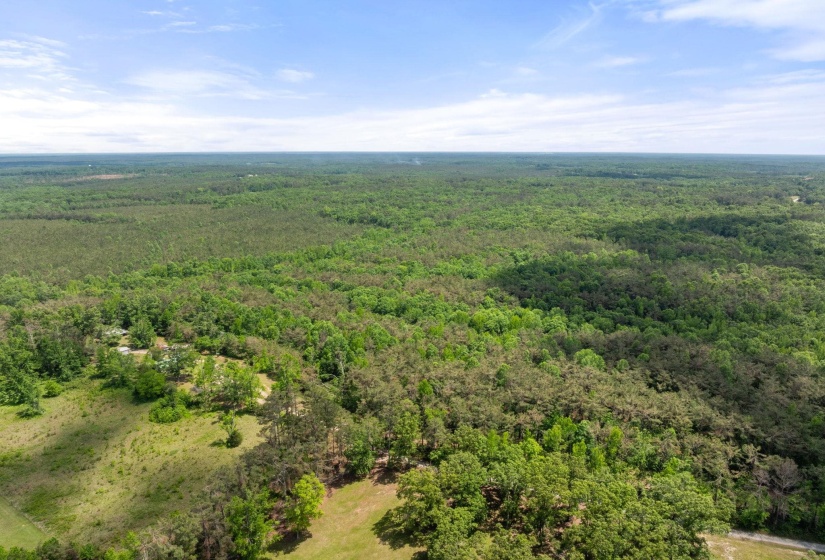 TBD COUNTY ROAD 377 RD, Burnsville, Mississippi 38833, ,Land,For Sale,COUNTY ROAD 377,10221313