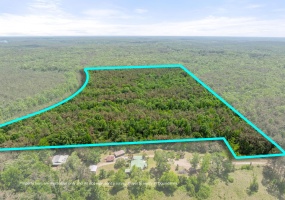 TBD COUNTY ROAD 377 RD, Burnsville, Mississippi 38833, ,Land,For Sale,COUNTY ROAD 377,10221313