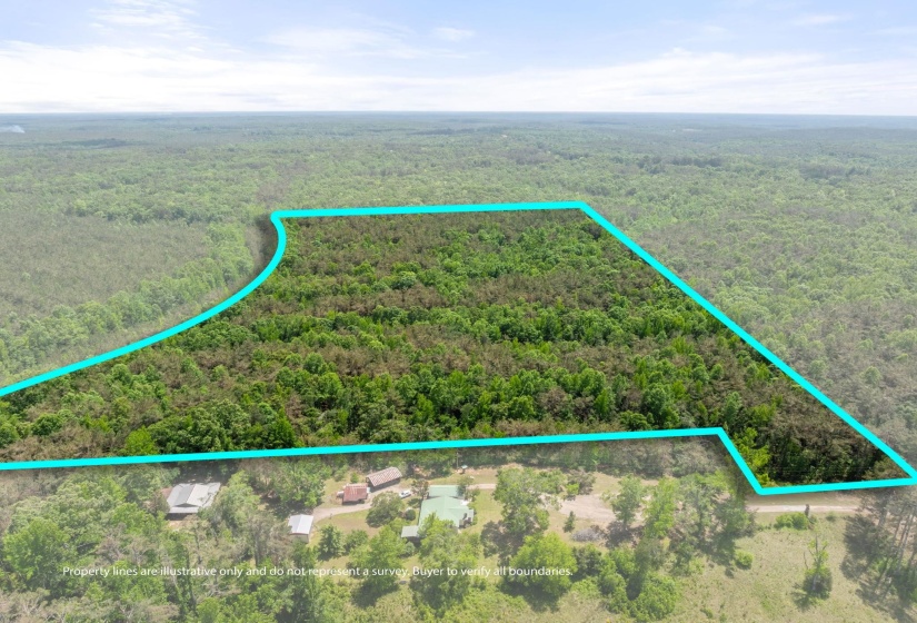 TBD COUNTY ROAD 377 RD, Burnsville, Mississippi 38833, ,Land,For Sale,COUNTY ROAD 377,10221313