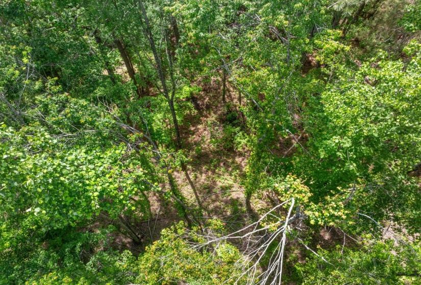 TBD COUNTY ROAD 377 RD, Burnsville, Mississippi 38833, ,Land,For Sale,COUNTY ROAD 377,10221313