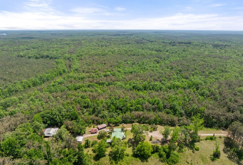 TBD COUNTY ROAD 377 RD, Burnsville, Mississippi 38833, ,Land,For Sale,COUNTY ROAD 377,10221313