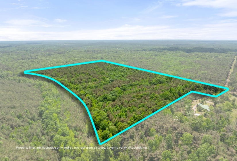 TBD COUNTY ROAD 377 RD, Burnsville, Mississippi 38833, ,Land,For Sale,COUNTY ROAD 377,10221313