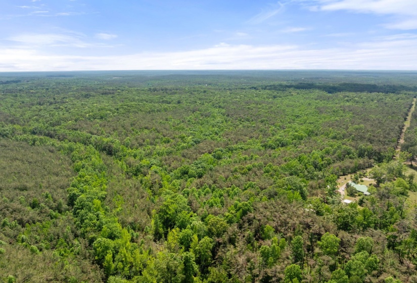 TBD COUNTY ROAD 377 RD, Burnsville, Mississippi 38833, ,Land,For Sale,COUNTY ROAD 377,10221313