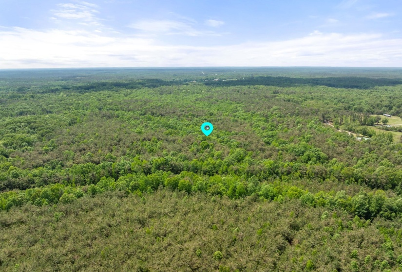 TBD COUNTY ROAD 377 RD, Burnsville, Mississippi 38833, ,Land,For Sale,COUNTY ROAD 377,10221313