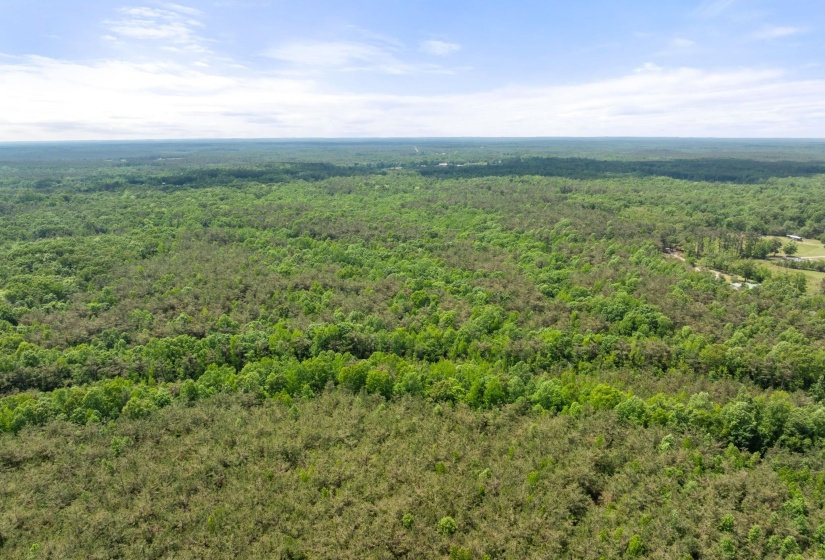 TBD COUNTY ROAD 377 RD, Burnsville, Mississippi 38833, ,Land,For Sale,COUNTY ROAD 377,10221313