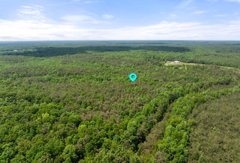 TBD COUNTY ROAD 377 RD, Burnsville, Mississippi 38833, ,Land,For Sale,COUNTY ROAD 377,10221313
