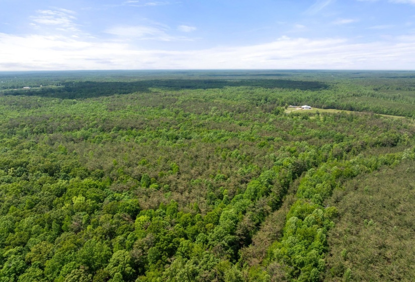 TBD COUNTY ROAD 377 RD, Burnsville, Mississippi 38833, ,Land,For Sale,COUNTY ROAD 377,10221313