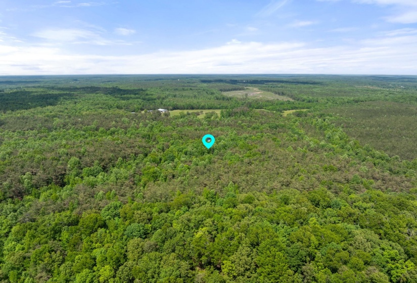 TBD COUNTY ROAD 377 RD, Burnsville, Mississippi 38833, ,Land,For Sale,COUNTY ROAD 377,10221313