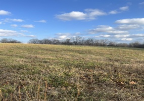 2325 TOMLIN RD, Oakland, Tennessee 38068, 0 , 0 ,0,Land,For Sale,TOMLIN,0,10221314