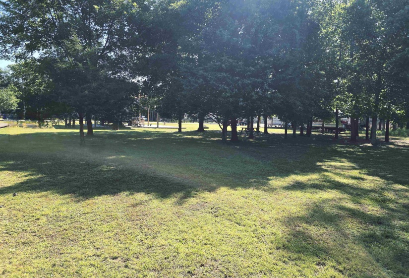3111 CATFISH LN, Crump, Tennessee 38327, ,Land,For Sale,CATFISH,10221316