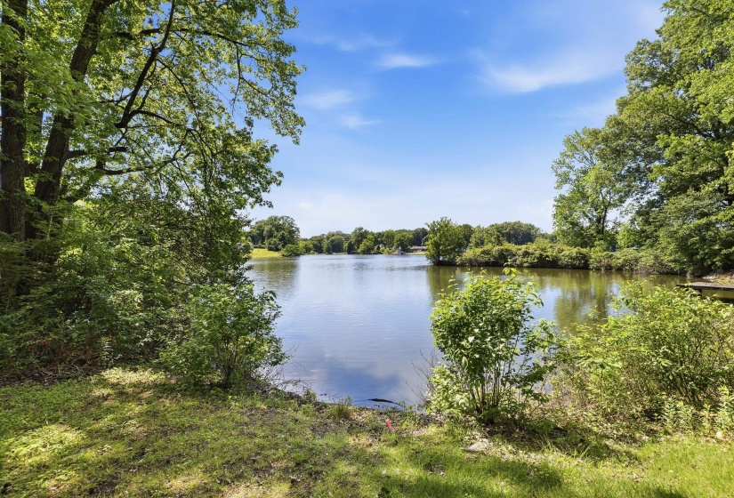 Expansive water feature bordered by mature trees and lush green landscaping