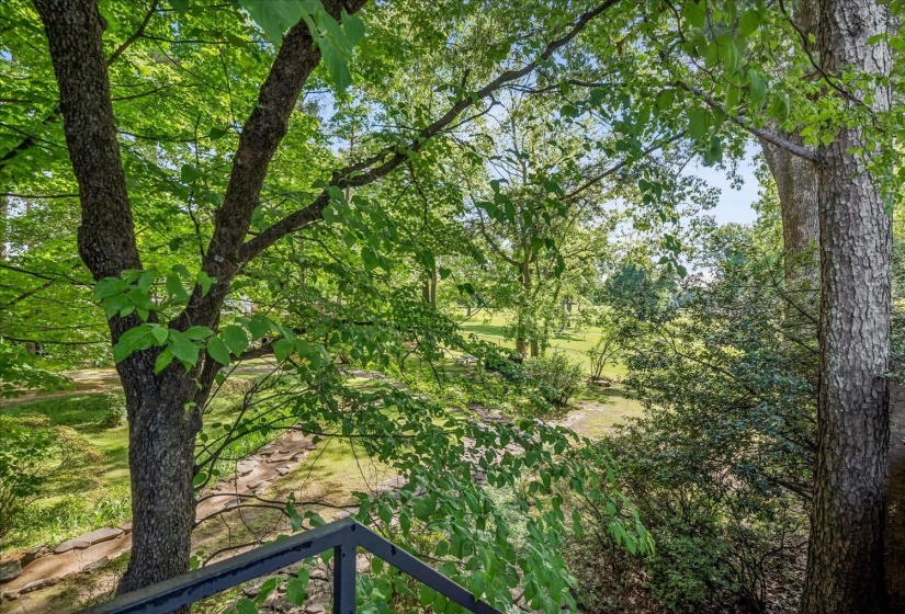Lush natural surroundings featuring mature trees and verdant foliage