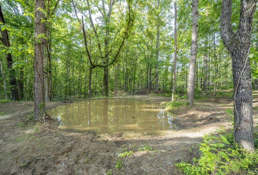 Wooded natural setting featuring a water body surrounded by mature trees