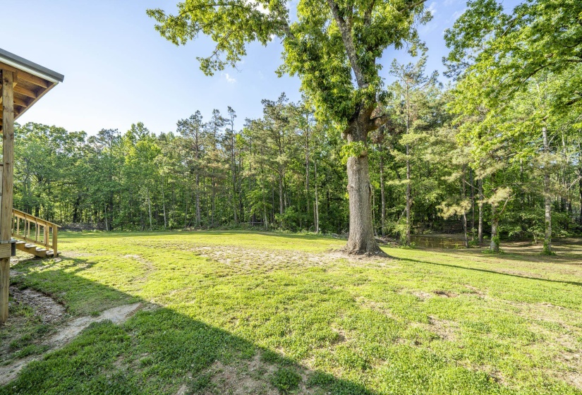 Expansive green lawn surrounded by mature trees, featuring a large central tree