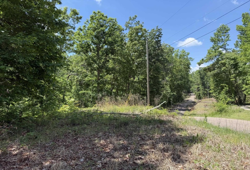 275 MOCKINGBIRD LN, Savannah, Tennessee 38372, 0 , 0 ,0,Land,For Sale,MOCKINGBIRD,0,10221346
