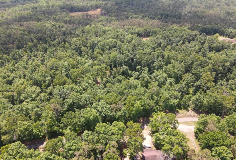 275 MOCKINGBIRD LN, Savannah, Tennessee 38372, 0 , 0 ,0,Land,For Sale,MOCKINGBIRD,0,10221346