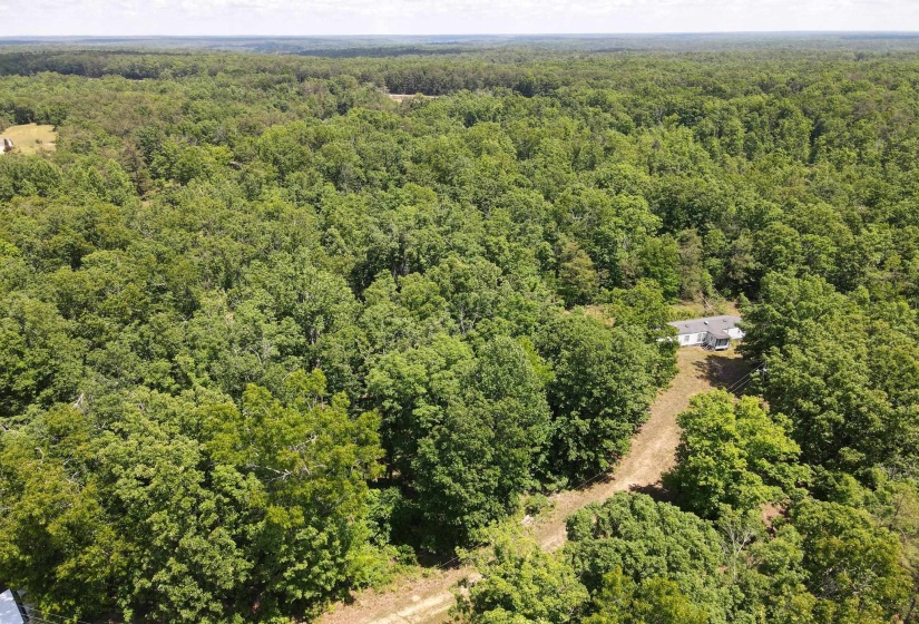 275 MOCKINGBIRD LN, Savannah, Tennessee 38372, 0 , 0 ,0,Land,For Sale,MOCKINGBIRD,0,10221346