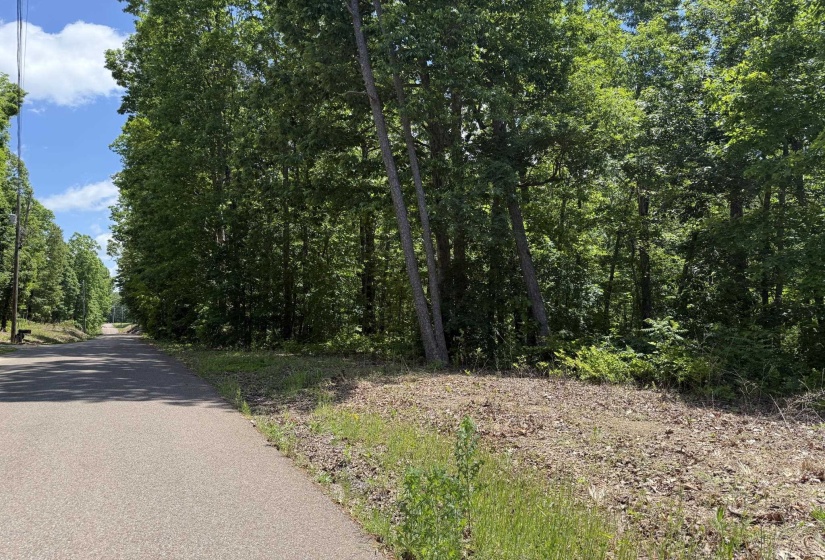 275 MOCKINGBIRD LN, Savannah, Tennessee 38372, 0 , 0 ,0,Land,For Sale,MOCKINGBIRD,0,10221346