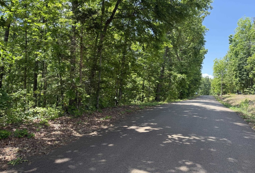 275 MOCKINGBIRD LN, Savannah, Tennessee 38372, 0 , 0 ,0,Land,For Sale,MOCKINGBIRD,0,10221346