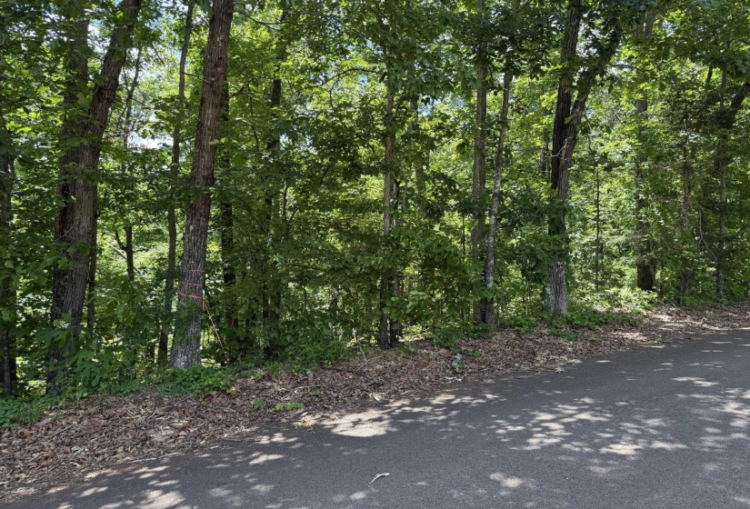 275 MOCKINGBIRD LN, Savannah, Tennessee 38372, 0 , 0 ,0,Land,For Sale,MOCKINGBIRD,0,10221346