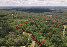 275 MOCKINGBIRD LN, Savannah, Tennessee 38372, 0 , 0 ,0,Land,For Sale,MOCKINGBIRD,0,10221346 275 MOCKINGBIRD LN, Savannah, Tennessee 38372, 0 , 0 ,0,Land,For Sale,MOCKINGBIRD,0,10221346