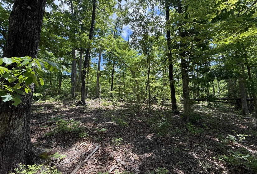 275 MOCKINGBIRD LN, Savannah, Tennessee 38372, 0 , 0 ,0,Land,For Sale,MOCKINGBIRD,0,10221346