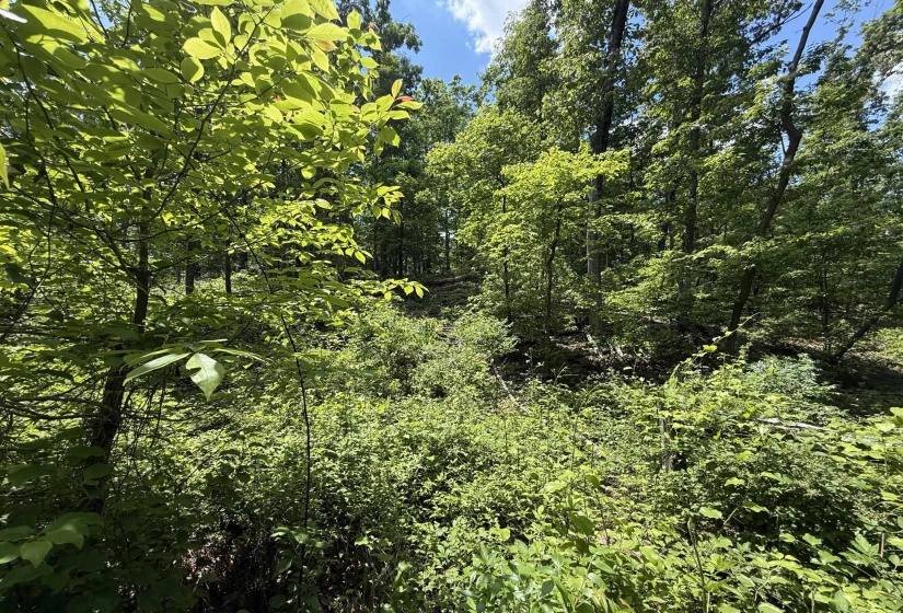 275 MOCKINGBIRD LN, Savannah, Tennessee 38372, 0 , 0 ,0,Land,For Sale,MOCKINGBIRD,0,10221346