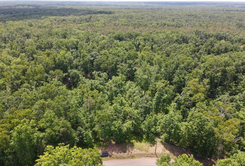 275 MOCKINGBIRD LN, Savannah, Tennessee 38372, 0 , 0 ,0,Land,For Sale,MOCKINGBIRD,0,10221346
