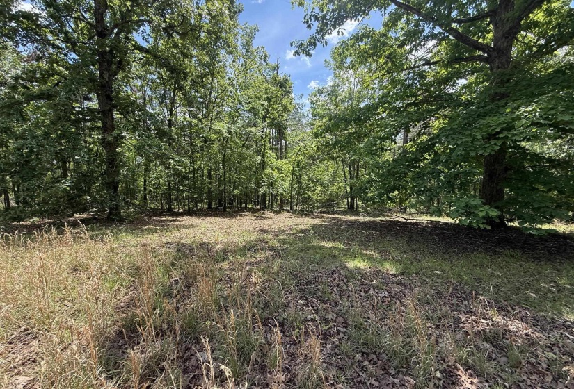 275 MOCKINGBIRD LN, Savannah, Tennessee 38372, 0 , 0 ,0,Land,For Sale,MOCKINGBIRD,0,10221346