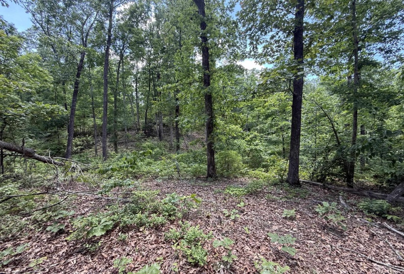 275 MOCKINGBIRD LN, Savannah, Tennessee 38372, 0 , 0 ,0,Land,For Sale,MOCKINGBIRD,0,10221346
