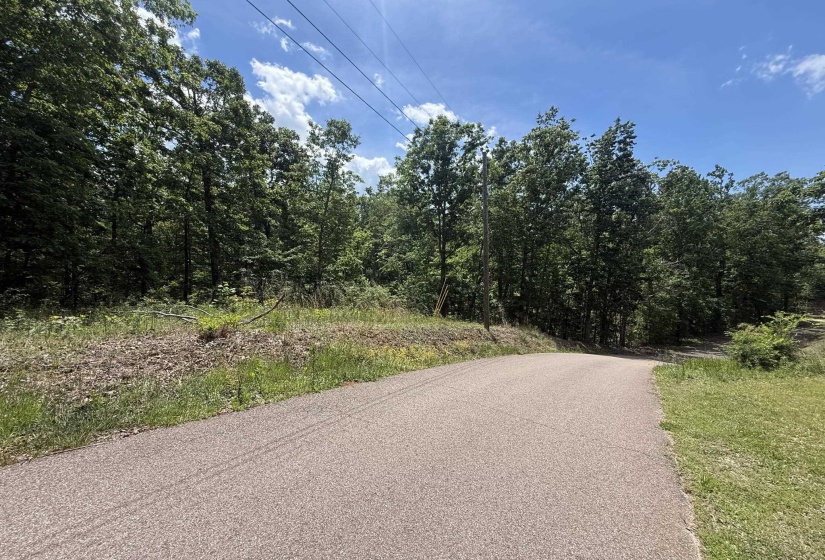 275 MOCKINGBIRD LN, Savannah, Tennessee 38372, 0 , 0 ,0,Land,For Sale,MOCKINGBIRD,0,10221346