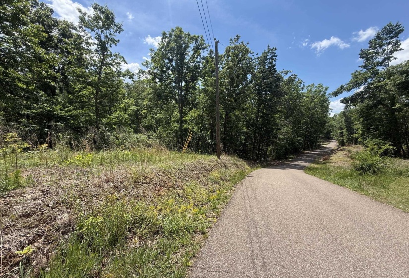 275 MOCKINGBIRD LN, Savannah, Tennessee 38372, 0 , 0 ,0,Land,For Sale,MOCKINGBIRD,0,10221346