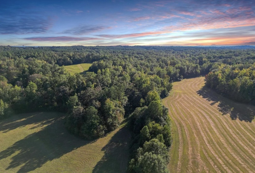 3085 FORREST HILL RD, Bolivar, Tennessee 38008, ,Land,For Sale,FORREST HILL,10221357