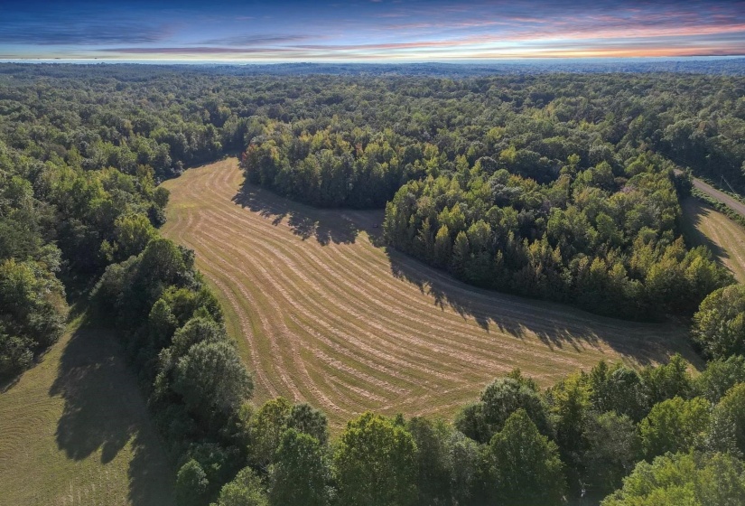 3085 FORREST HILL RD, Bolivar, Tennessee 38008, ,Land,For Sale,FORREST HILL,10221357