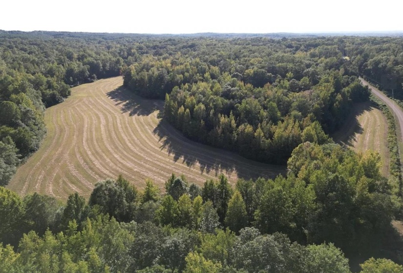 3085 FORREST HILL RD, Bolivar, Tennessee 38008, ,Land,For Sale,FORREST HILL,10221357