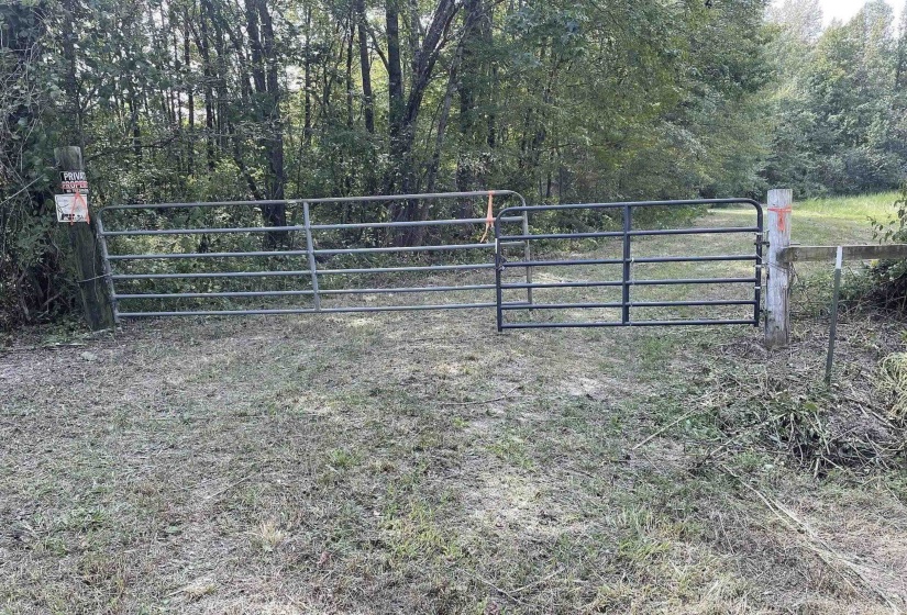 3085 FORREST HILL RD, Bolivar, Tennessee 38008, ,Land,For Sale,FORREST HILL,10221357