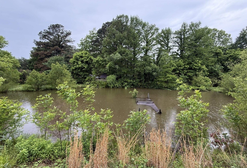 Natural water feature with a partial wooden dock