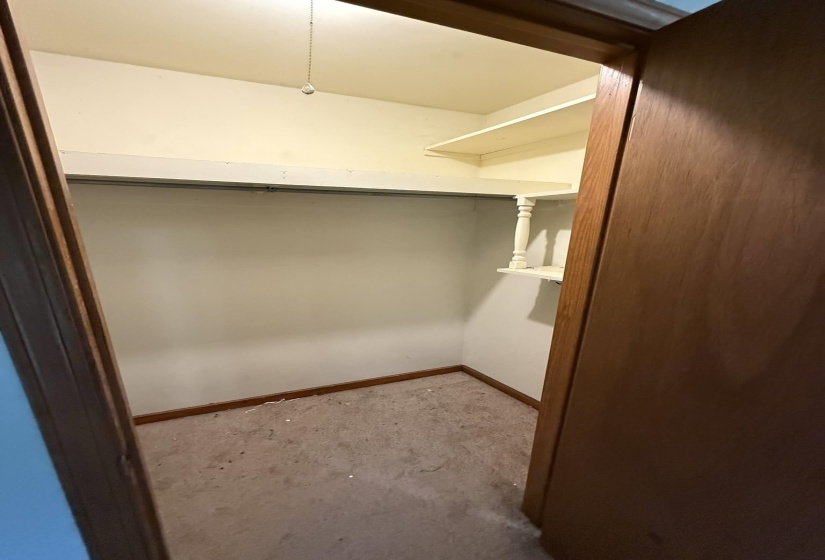 Walk-in closet featuring carpet flooring, built-in shelving, and a clothing rod