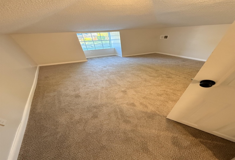 Carpeted room with a multi-pane window and neutral wall color