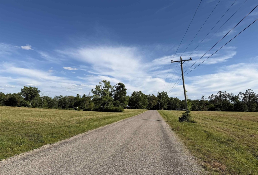 1 69 HWY, Adamsville, Tennessee 38310, ,Land,For Sale,69,10221452