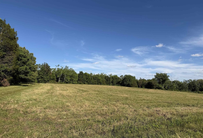 1 69 HWY, Adamsville, Tennessee 38310, ,Land,For Sale,69,10221452