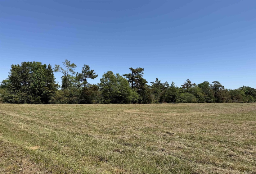 1 69 HWY, Adamsville, Tennessee 38310, ,Land,For Sale,69,10221452