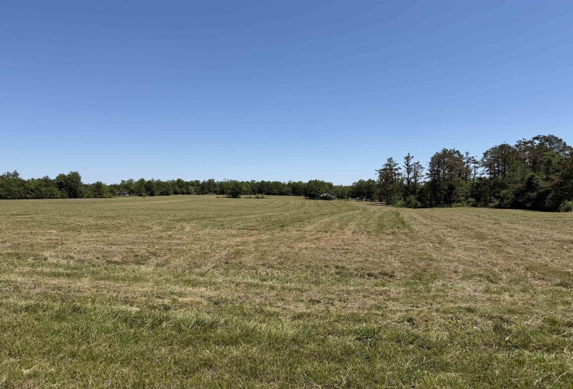 1 69 HWY, Adamsville, Tennessee 38310, ,Land,For Sale,69,10221452