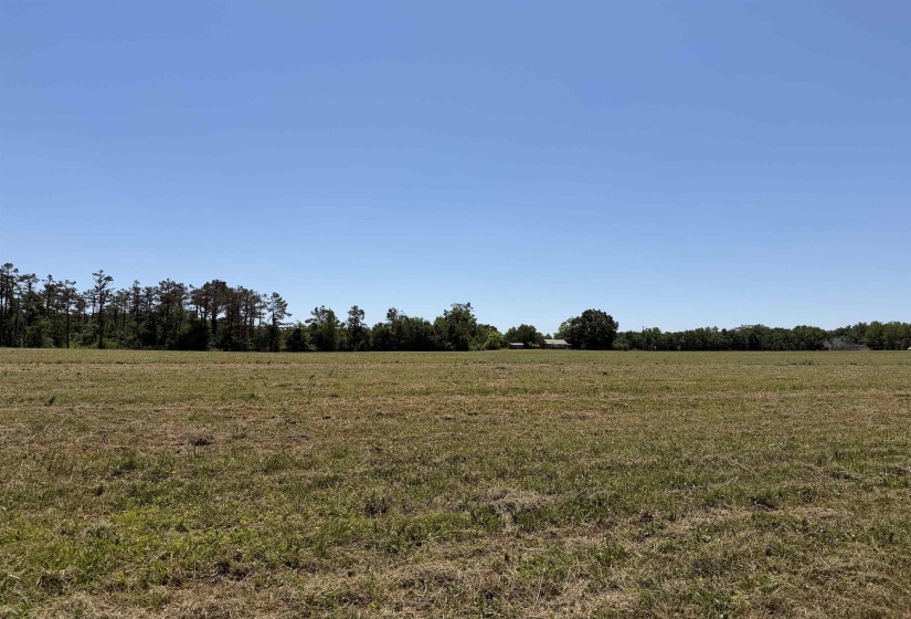 1 69 HWY, Adamsville, Tennessee 38310, ,Land,For Sale,69,10221452